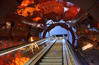 National History Museum
