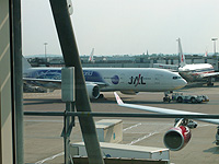JAL̃[hh@ JA704J