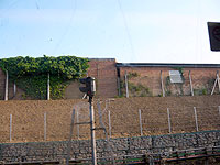 nɏoI Hounslow West