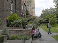 College Garden /D200
