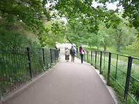 Greenwich Park /FX33