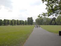 Greenwich Park /D200
