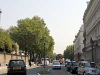 Buckingham Gate {a̐߂kɌ /D200