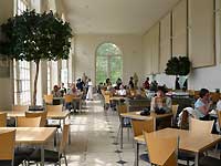 inside of Orangery /Lumix FX33
