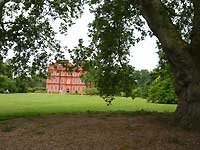 Kew Palace and Oriental Plane tree /Lumix FX33