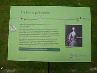 Fit for a princess /Lumix FX33