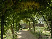 Kew Palace /D200