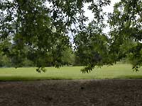 Landscape /D200