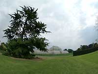 Palm House /S2 Pro