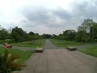 In front of Temperate House /D200