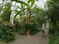 Temperate House /S2 Pro