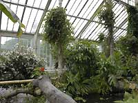 Temperate House /D200