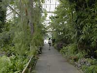 Temperate House /D200