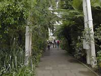 Temperate House /D200