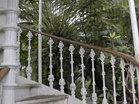 Temperate House /D200