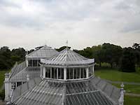 from the window of Temperate House /D200