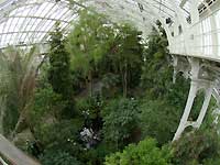 inside of Temperate House /S2 Pro