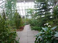 Iside of Temperate House /Lumix FX33