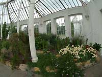 inside of Temperate House /S2 Pro