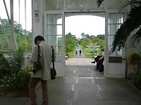inside of Temperate House /Lumix FX33