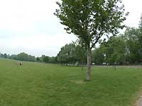 Hyde park /S2 Pro