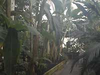 Palm House /Nikon D200