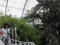 Inside of Palm House /Nikon D200