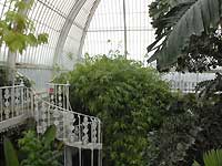Inside of Palm House /Nikon D200