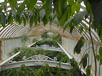 Inside of Palm House /Nikon D200