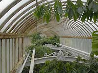 Inside of Palm House /Nikon D200