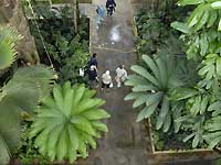 Inside of Palm House /Nikon D200
