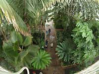 Inside of Palm House /FinePix S2 Pro