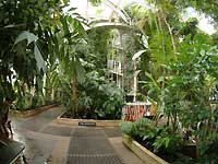 Inside of Palm House /FinePix S2 Pro