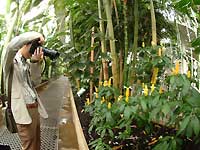 Inside of Palm House /Nikon D200