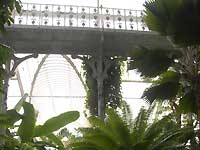 Inside of Palm House /Nikon D200
