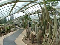 inside of Princess of Wales Conservatory /FinePix S2Pro
