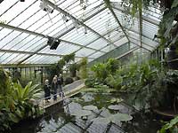 Inside of Princess of Wales Conservatory /Nikon D200