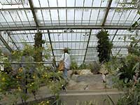 Inside of Princess of Wales Conservatory /Nikon D200