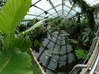 Inside of Princess of Wales Conservatory /S2 Pro