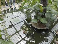 Inside of Princess of Wales Conservatory /Nikon D200