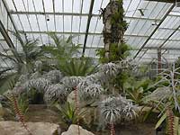 Inside of Princess of Wales Conservatory /D200