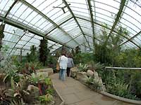 Inside of Princess of Wales Conservatory /S2 Pro