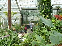 Inside of Princess of Wales Conservatory /Lumix FX33