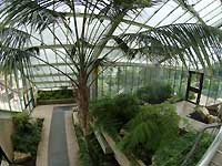 Inside of Princess of Wales Conservatory /S2 Pro