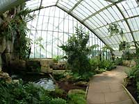 Inside of Princess of Wales Conservatory /S2 Pro