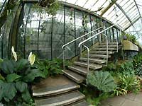 Inside of Princess of Wales Conservatory /S2 Pro