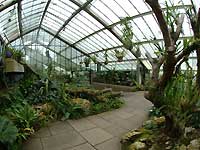 Inside of Princess of Wales Conservatory /FinePix S2Pro