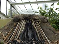 Inside of Princess of Wales Conservatory /D200