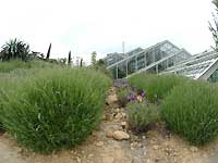 Outside of Princess of Wales Conservatory /FinePix S2Pro