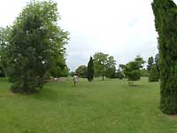 Around the black locust tree /S2 Pro